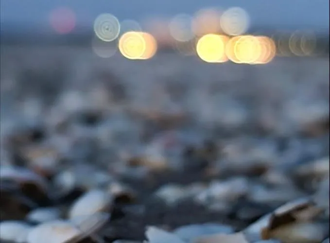 Apartamento Visit Baltic - Mlodej Sztuki Rs2 11 Świnoujście